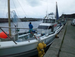 SH3K0237.jpg