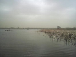 rps20130310_144524.jpg
