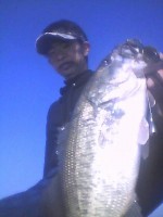 rps20130317_075438.jpg