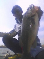 rps20130317_125441.jpg